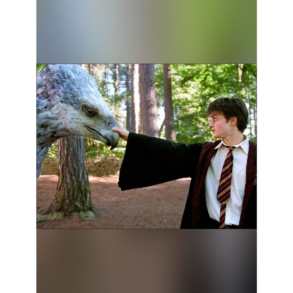 Harry Potter Custom Fridge Magnet Kitchen Home Decor